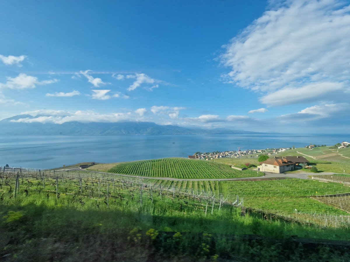 Switzerland is known for alpine views but did you know it has 5 of the worlds largest gold refineries? Heading to the Gold Traceability workshop hosted by <a href="/unil/">Université de Lausanne</a> to discover the multi-disciplinary solutions required to improve supply chain responsibility.

#goldtraceability #gold
