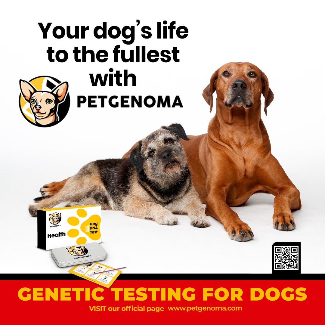 petgenoma's tweet photo. To all you dog lovers out there - this is your chance to give your pup the best life possible! #PetGenoma is here to make sure your pet gets all the love, care, and attention it deserves. #DogGenetics #DogDNATest ๐พ ๐ถ https://t.co/FSyLEeYpf1