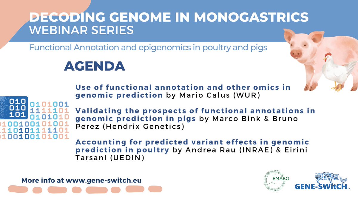 🗣️Meet our speakers!

🖥️The second session of the webinar series Decoding Genome in Monograstics will focus on #GenomicPredicton.   

Join us to learn more about sustainable #AnimalBreeding🧬 in poultry🐣 &amp; pigs🐷

🗓️4 May 
🕒14h (CEST)
✍️Register now: cutt.ly/35WHwW3