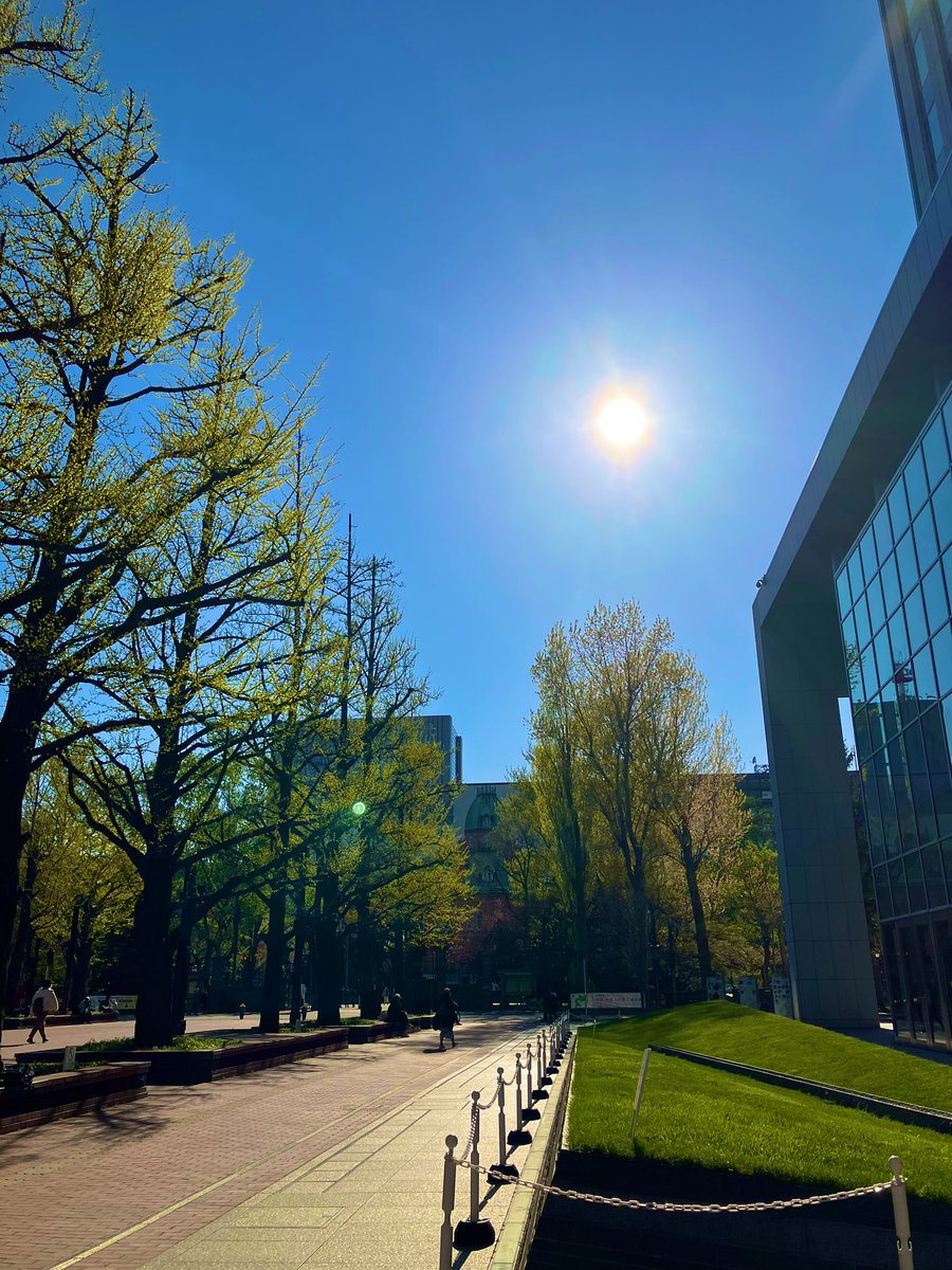asy_writer's tweet photo. 赤レンガテラスをふらふらと。
いい天気☀️ https://t.co/HzUOl0mU07