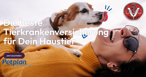 RT <a href="/VetGoy/">DocGoy Tierarzt</a>  RT <a href="/docgoy/">Dr. Reinhard Goy</a>  Tierkrankenversicherungen werden immer wichtiger. Hier ist eine Empfehlung: hund-katze-heimtier-kleintier.de/10-rabatt-auf-…  Mehr Vergleichsmöglichkeiten unter DocGoy.eu