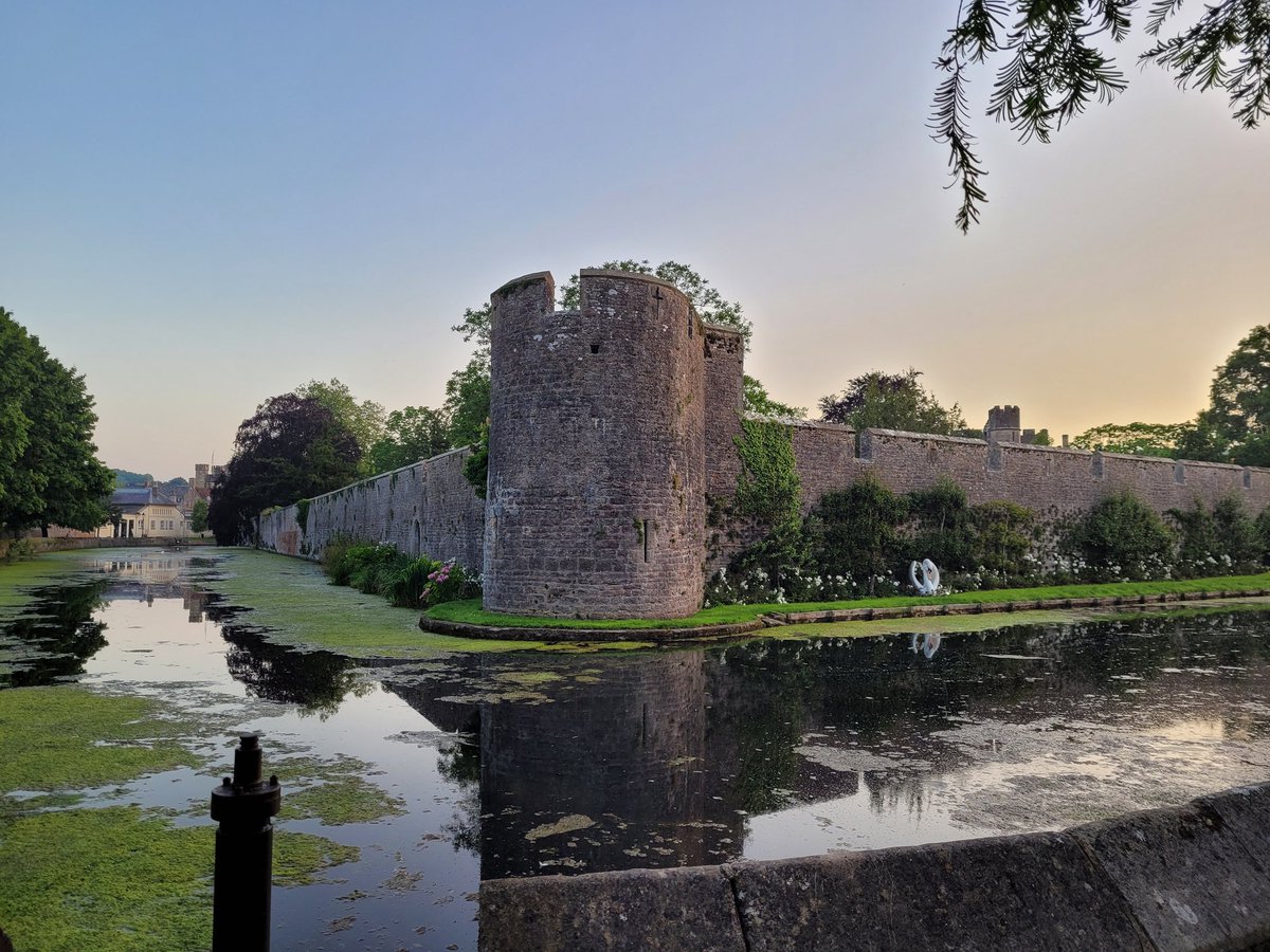 @SomersetCouncil Bishops Palace, Wells #SomersetMyHappyPlace