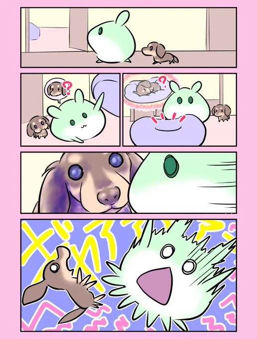 1101日目 行方不明のらてぃ(犬)を探す