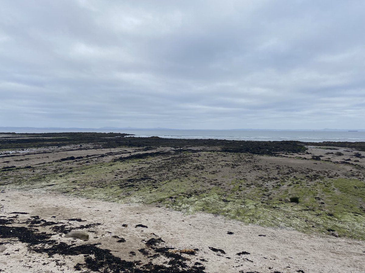 brown_elc's tweet photo. Step Challenge started yesterday so encouraging me to get out before/after being at desk all day #wellbeing #PortSeton https://t.co/aao8XPZcAB