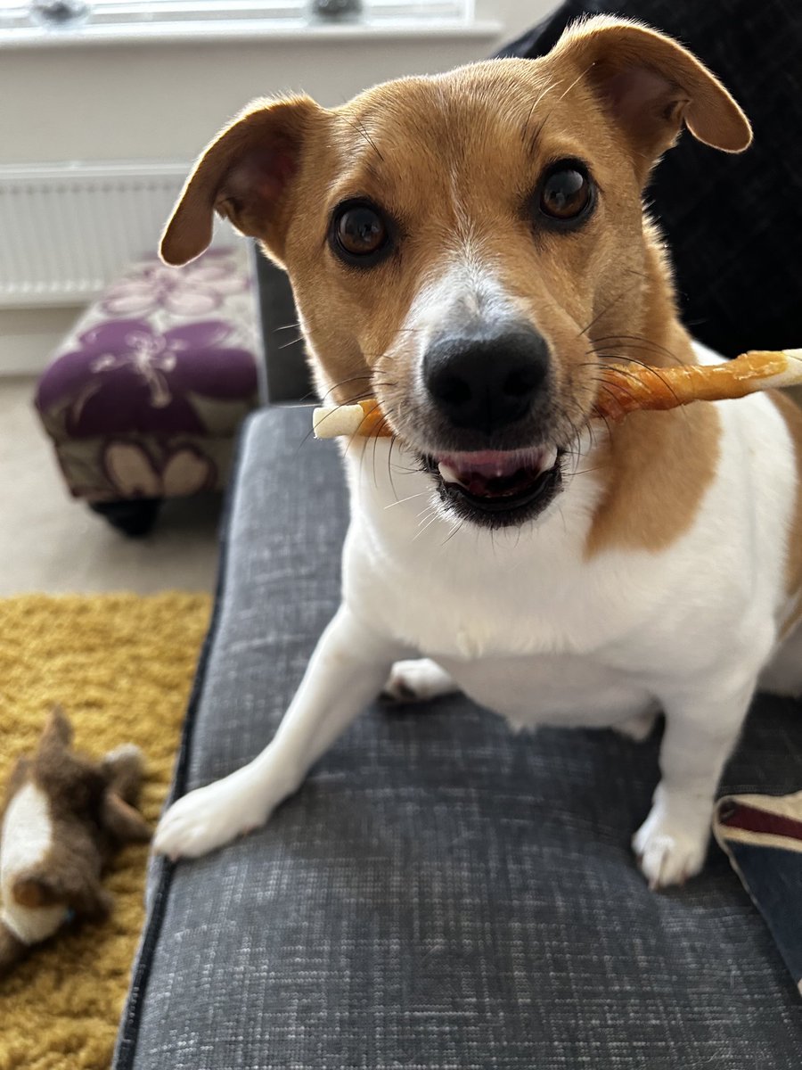 Happy Tuesday I’m happy to share my treat 🥰🥰🥰🥰