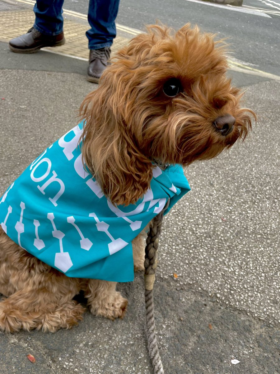 Time for a better offer! #nodeal #fundeducation #saveourschools