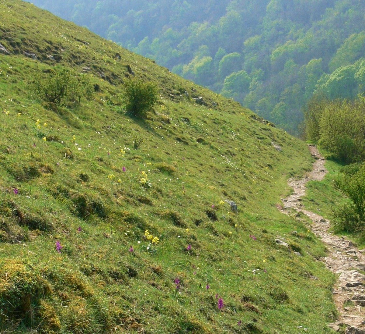 WHPEcoCommittee tweet media