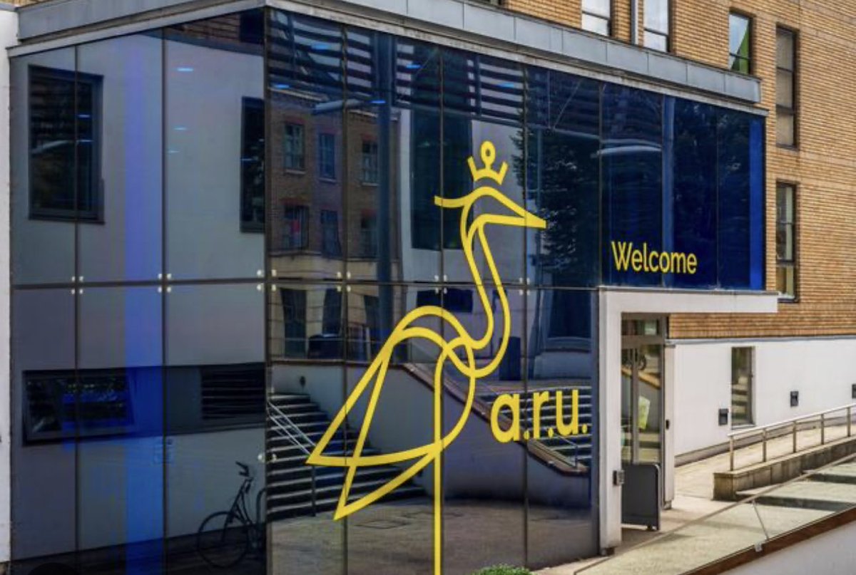 Professor Catherine Lee MBE tweet media