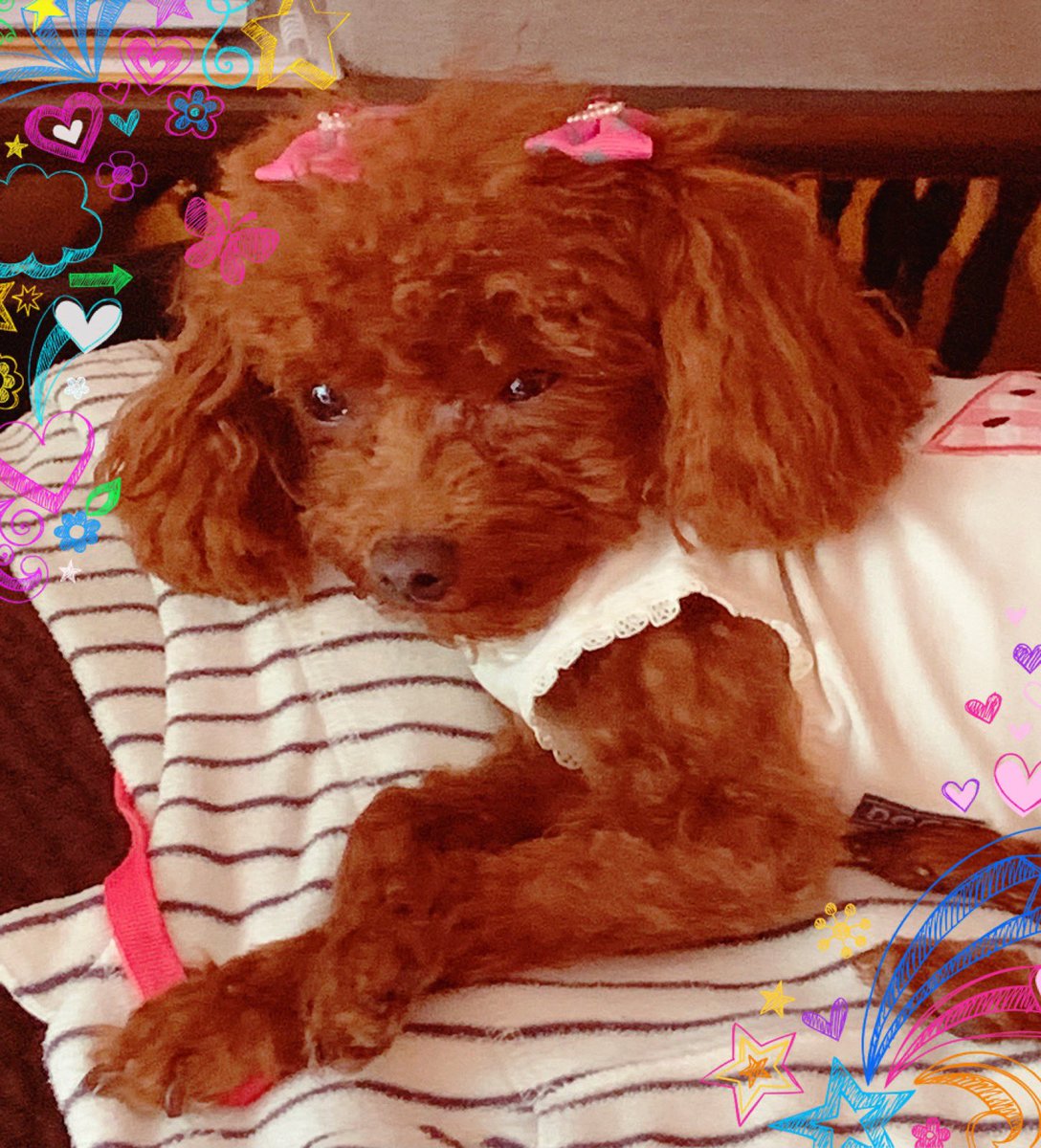 HelloKelly333 tweet picture