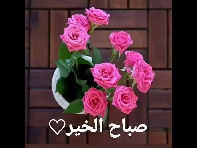 <a href="/Sindrilla7/">Sindrilla</a> سلامآ لمن يملك قلبآ ولسانآ يطرح ورد و سلام على الذين يزهرون القلوب اذا نزلوا بها وكأنهم في بقاع القلب أمطار
