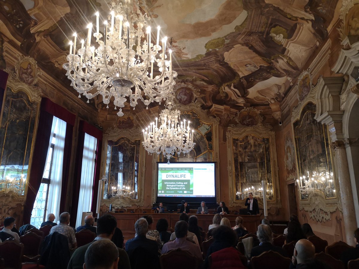 dynalifecost's tweet photo. The first @COSTprogramme #DYNALIFEcost conference just started! In awesome Aula Magna of @CaFoscari in Venice. Welcome words by the chair Diego Gonzales and other organisers. https://t.co/hgr0tr6xHX