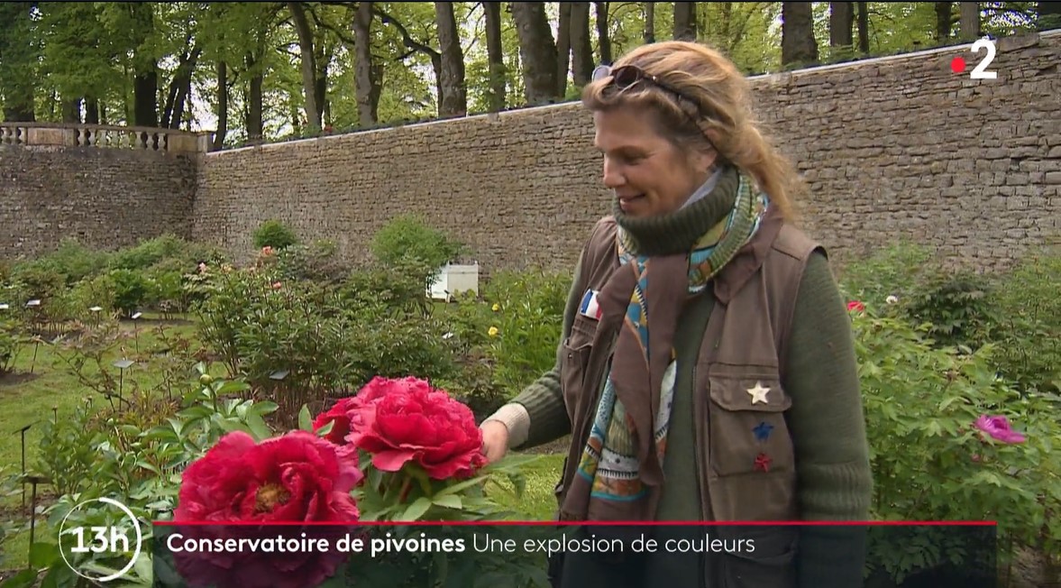 J2Mcom's tweet image. #RevueDePresse Le Château de Sourches : #conservatoire de la #pivoine en @PaysduMans , une explosion de couleurs à découvrir au plus vite ! France 2. 1er mai 2023.
urlz.fr/lEQf
#fleur #jardin #chateau #conservatoire #tourisme #insolite #balade  #sarthe #collection
