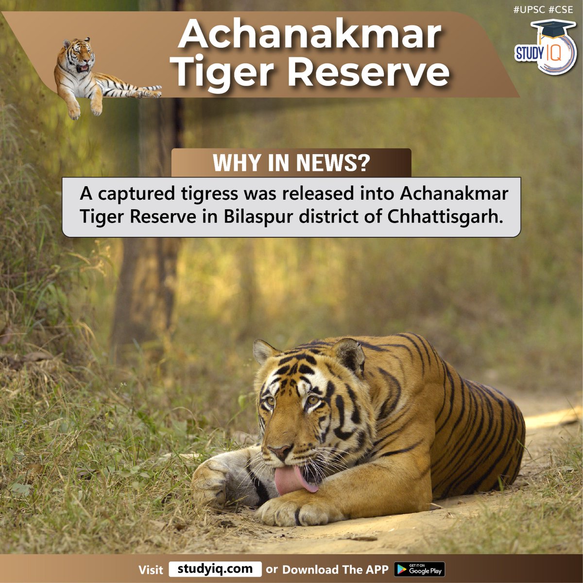 biographyiq's tweet photo. Achanakmar Tiger Reserve

#achanakmartigerreserve #tigerreserve #bilaspur #chhattisgarh #forest #amarkantakbiospherereserve #bandhavgarhtigerreserve #wildlifesanctuary #sal #bija #khamar #bambooflourish #medicinalplants #bengaltiger #indianleopard #slothbear #nilgai https://t.co/iId7MwGXrv