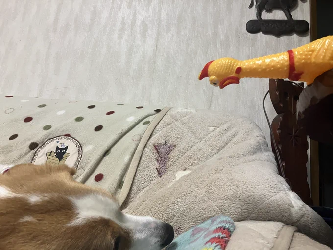 「シーッ!俺だ!助けに来た!」
