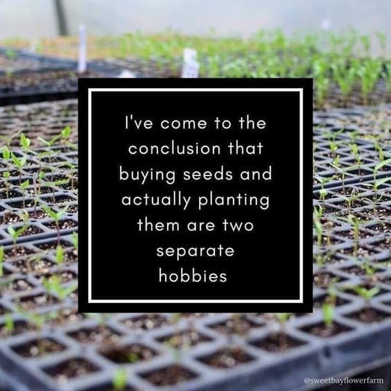 HsvGreenTeam's tweet photo. Ahem...😆 https://t.co/I3J0u3Ryx1