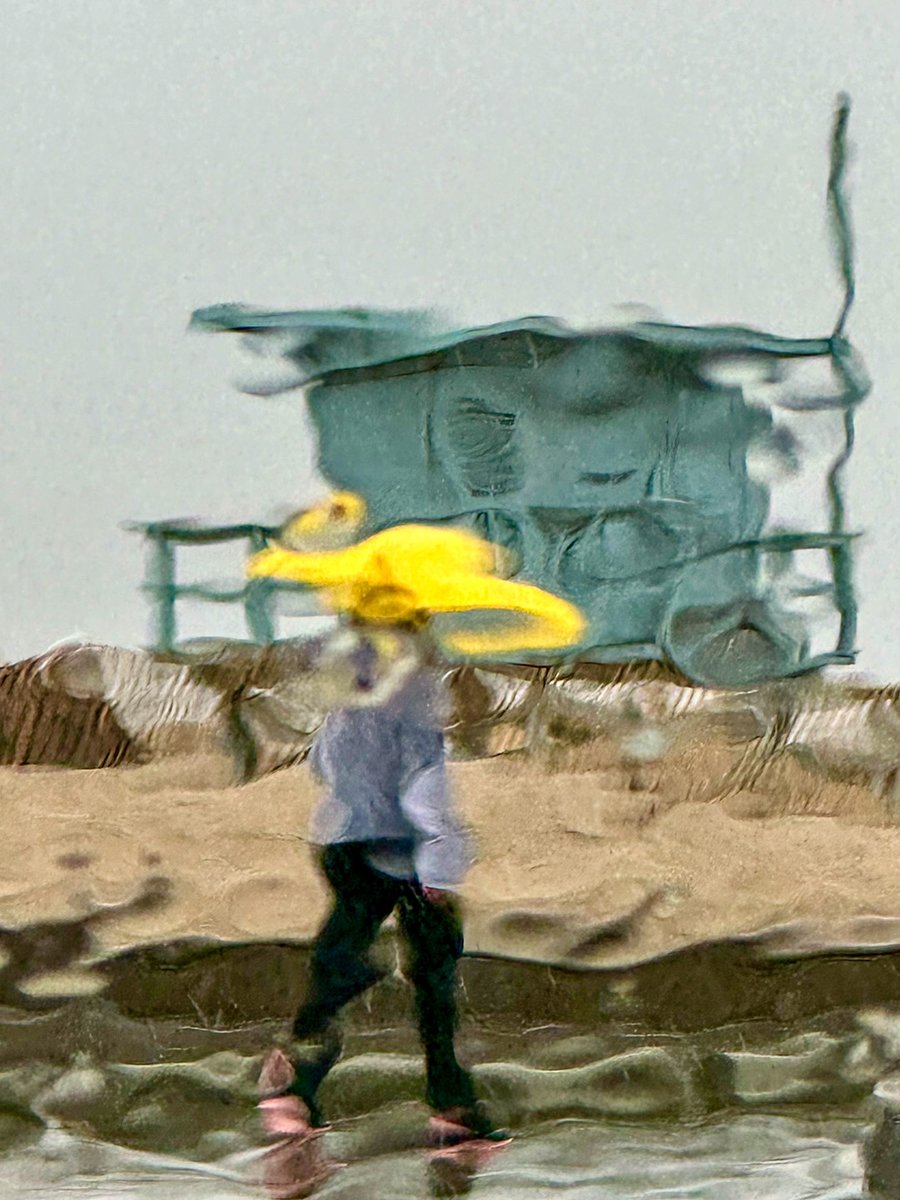 debdavisdesign's tweet photo. just a few rainy day pics. #santamonica #santamonicabeach #rainyday #bubbleumbrella https://t.co/hpZOd0K99m