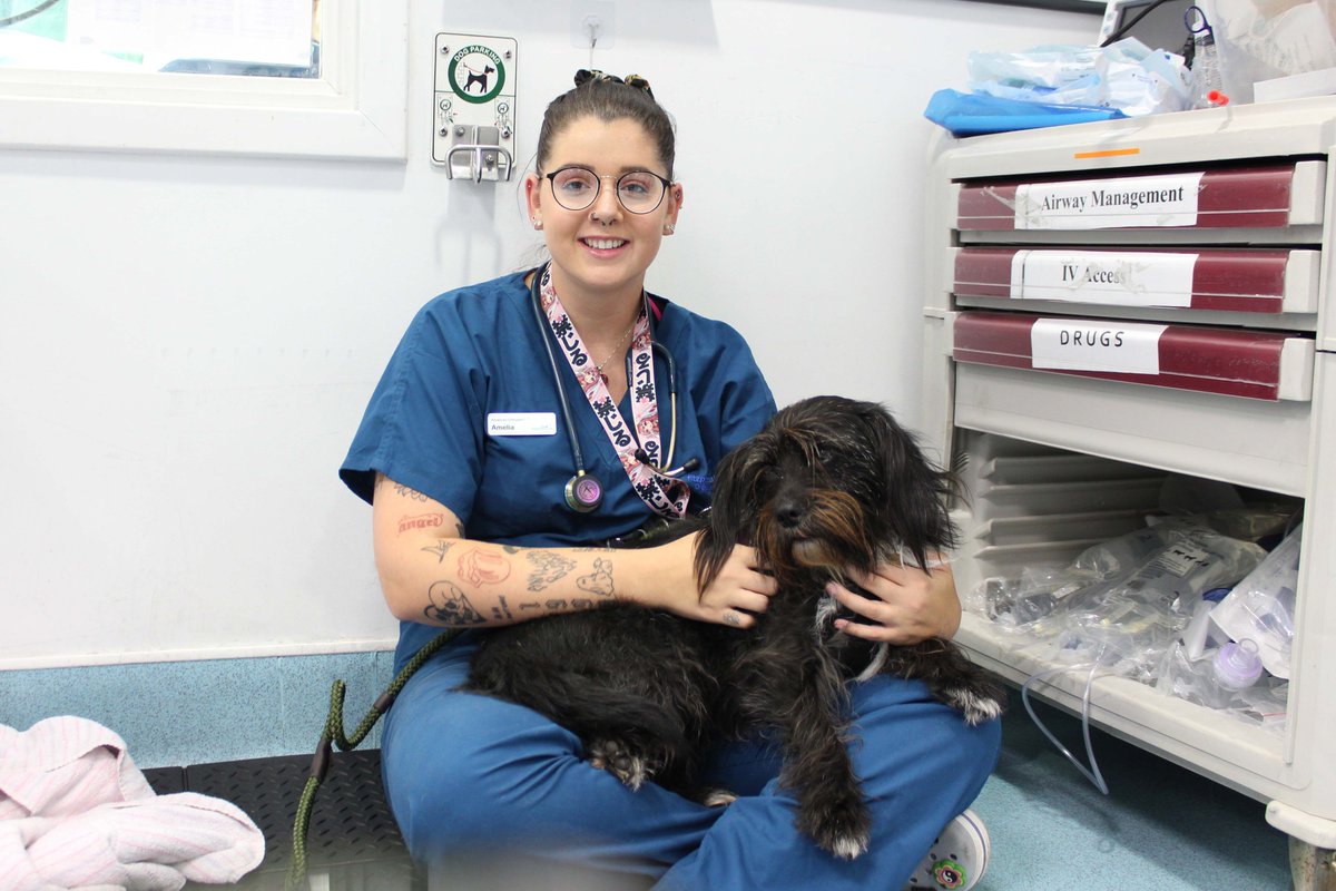 May is the month when our community comes together to celebrate all things #veterinarynursing!

Look out for our posts throughout May, where we’ll take you behind the scenes to showcase some of the skills and team members at our specialist referral practice. #VNAM2023 #WhatVNsDo