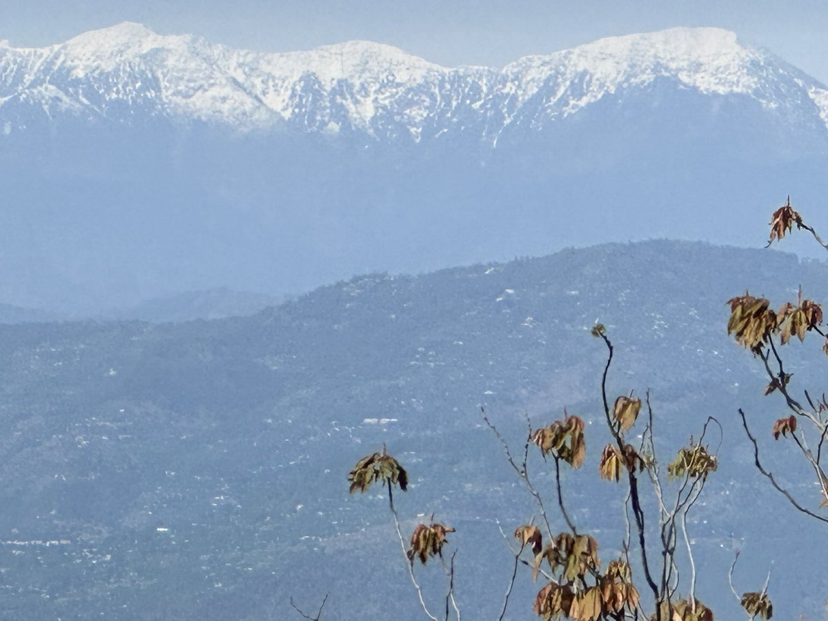 Dr AbdulRahman Alvi tweet media