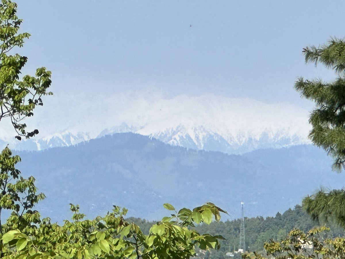 Dr AbdulRahman Alvi tweet media