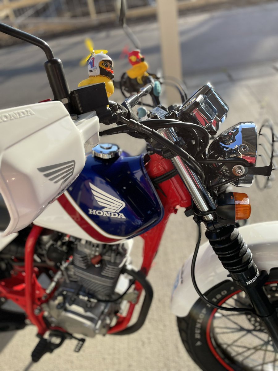 haramikou1108's tweet photo. 右側ゼッケンプレートをリニューアル。#ぐっさん名言 切り文字ステッカーめちゃくちゃ気に入ってます。今年は何龍飛行けるかな。せっかくカッコ良く作って頂いたステッカーもお渡ししてみたい。
#pandawithamission #龍飛崎 #ステッカー作成ありがとうございます #磨き沼 https://t.co/5sJl34e46Y