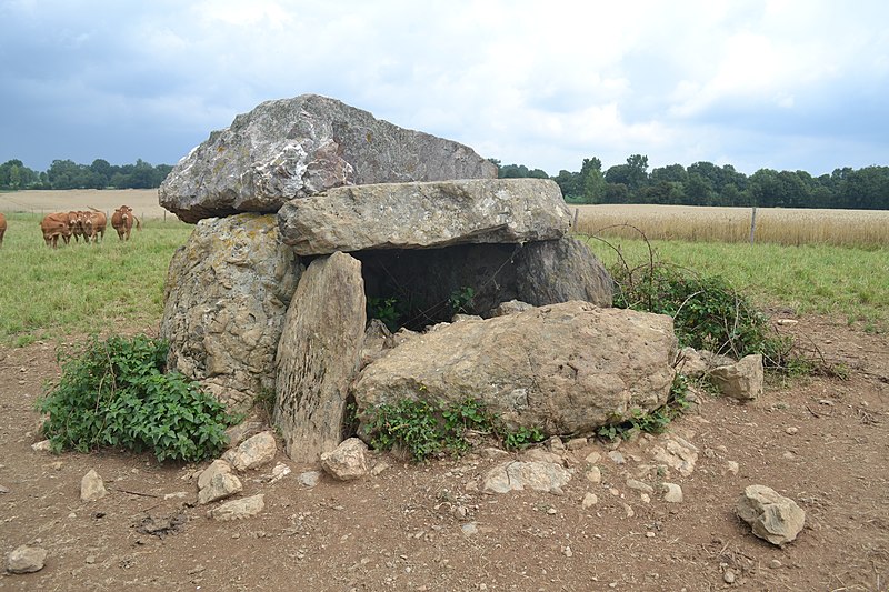 MonumentumFr's tweet photo. Dolmen de La Pierre-qui-vire à #Cheffois (#Vendée) Construction Néolithique. Dolmen de La Pierre-qui-vire (cad. A5 1131) : classement par arrêté du 5 mai 1924.
Suite 👉 https://t.co/z1RWgTiP1X
#Patrimoine #MonumentHistorique https://t.co/81jEsffByD