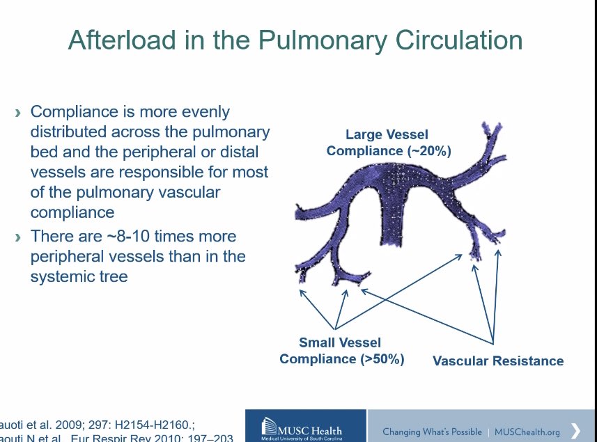 hvanspall's tweet photo. So many insights by THE @RyanTedfordMD at #McMaster #CardiologyGrandRounds
Important differences between systemic & pulmonary #circulation; relatively more distal/small vessels in pulmonary circ
Important differences in RV & LV. #RV more sensitive to changes in #afterload https://t.co/omwRXJJGzC