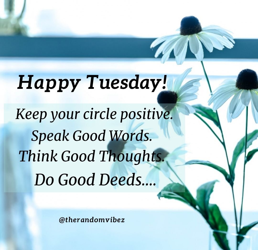 SchsCounseldept's tweet image. Happy Tuesday!! Hope you all have a great and wonderful day! #tuesdaymotivation #yougothis #thinkgoodthoughts