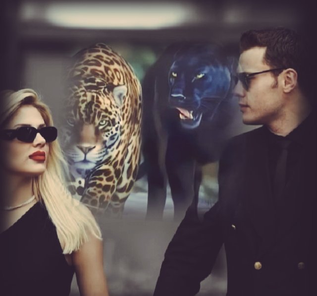 🦁#aytol