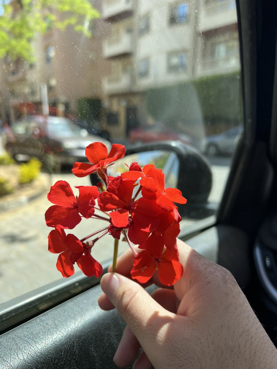 ❤️🌺