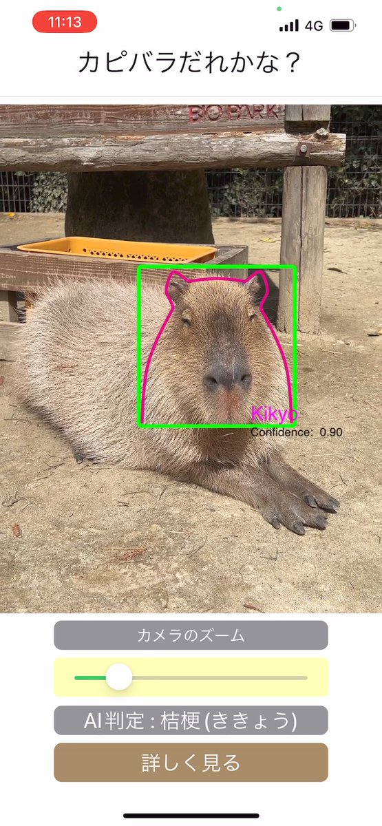 capyanimal's tweet image. 「カピバラだれかな? 」名前を知りたいカピバラにスマホを向けると顔認識しAI判定。瞬時に名前表示するエンタメアプリを作成しました!長崎バイオパークに対応。どうぞ暖かく応援していただけると幸いです。
apps.apple.com/jp/app/%E3%82%… #カピバラAI #長崎バイオパーク #カピバラ #カピバラだれかな?