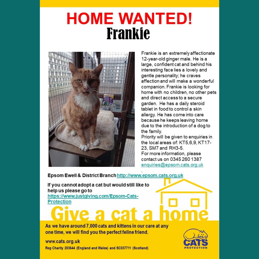 Poor Frankie!

Hope someone out there can give him the one to one relationship he needs.