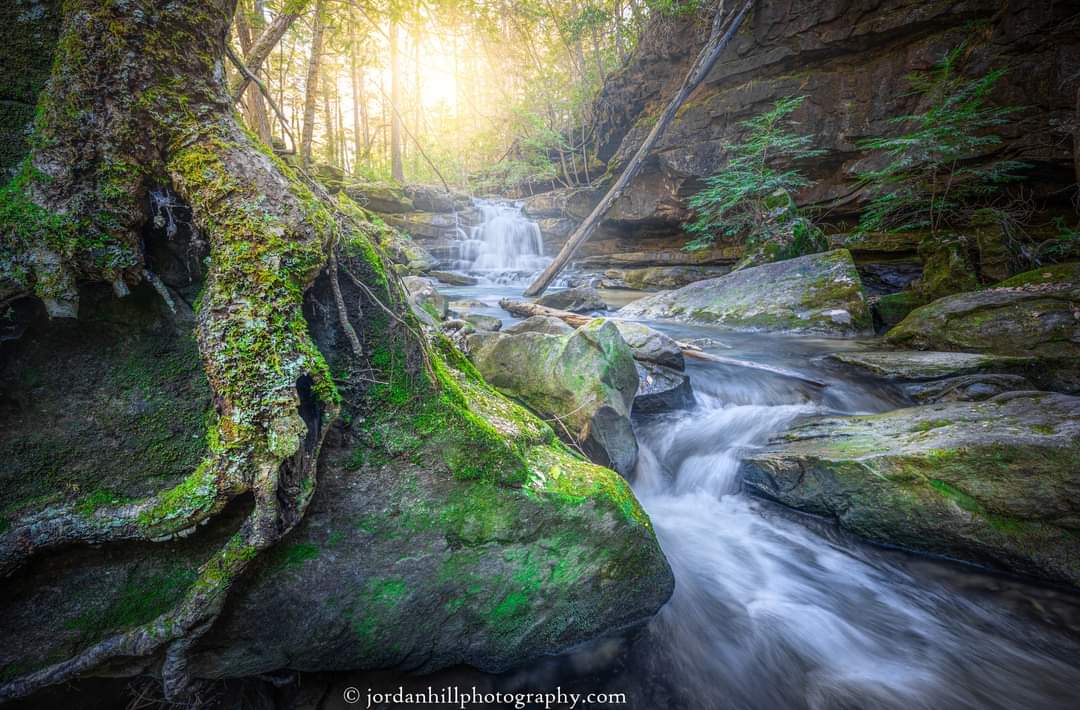 Cascading Parker Falls
jordanhillphotography.com/featured/sunse…

#waterfall #chasingwaterfalls #nature #chasinglight #photooftheday  #picoftheday #landscapephotography #naturephotography #outdoors #art #artprint  #wallart #photography #explore #travel #alabama #travelphotography #AYearForArt