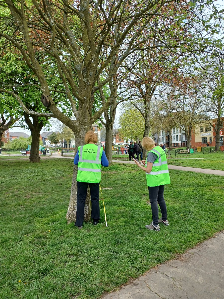 LoveSolihull's tweet image. The hidden value of trees 🌳 🌳🌳
#Solihull #TreeWardens have been out in #Shirley #Park measuring the #Eco benefits of our #Awesome trees.