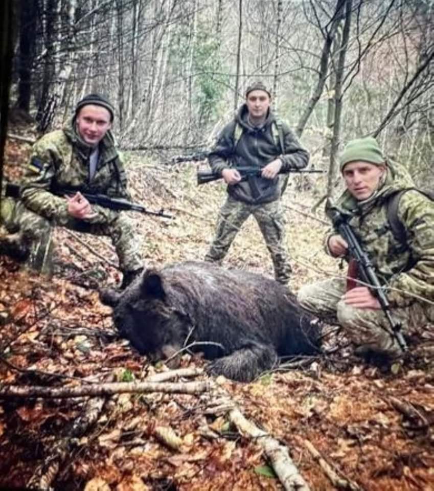 insomniadiutina's tweet photo. 14 квітня ведмедиця оселилася з двома ведмежатами біля чопського прикордонного загону, а 16 квітня ведмедика побачили одного, розгубленого. З'ясувалося, що його маму застрелили в результаті незаконного полювання, організованого і здійсненого посадовцями ДПС України.

Воєни, сука. https://t.co/2HwjerqGRC