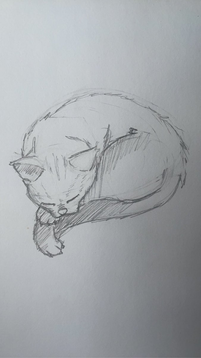 MothsMess's tweet image. Getting back into traditional to reconnect with it, no digital posts for a while so here’s a drawing of my cat :)