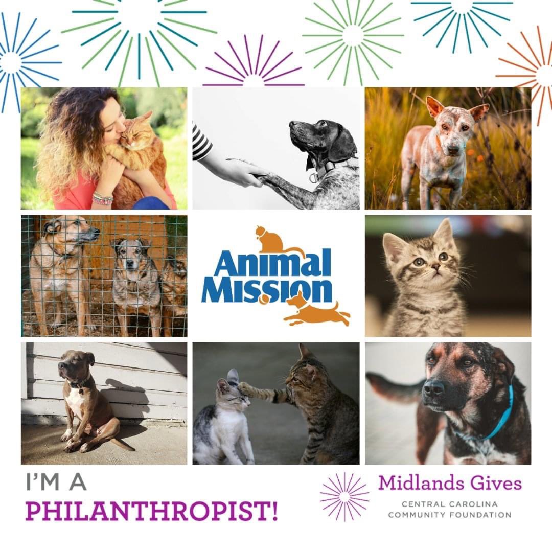 Animal Mission tweet media