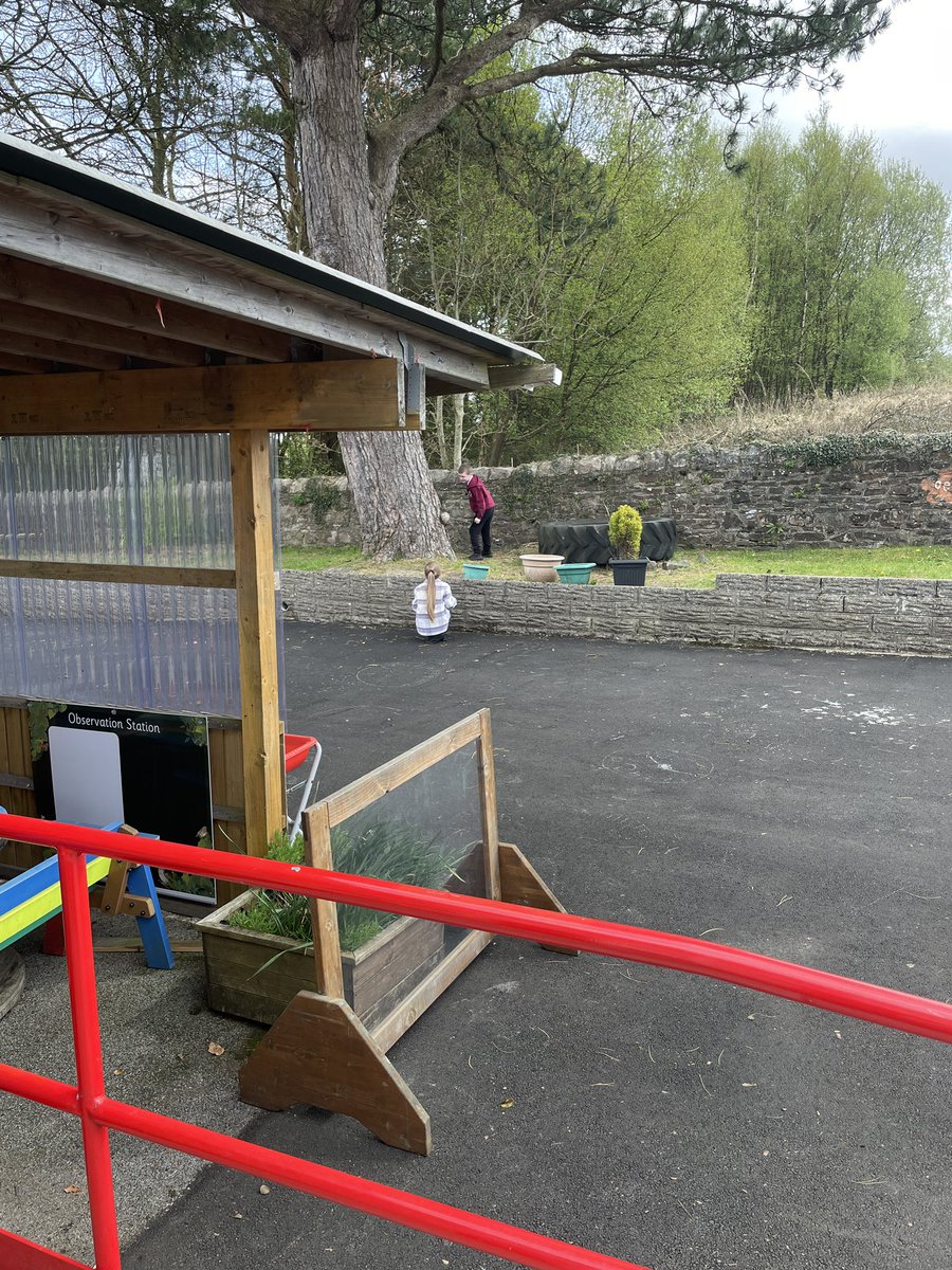 Rhigos Primary tweet media