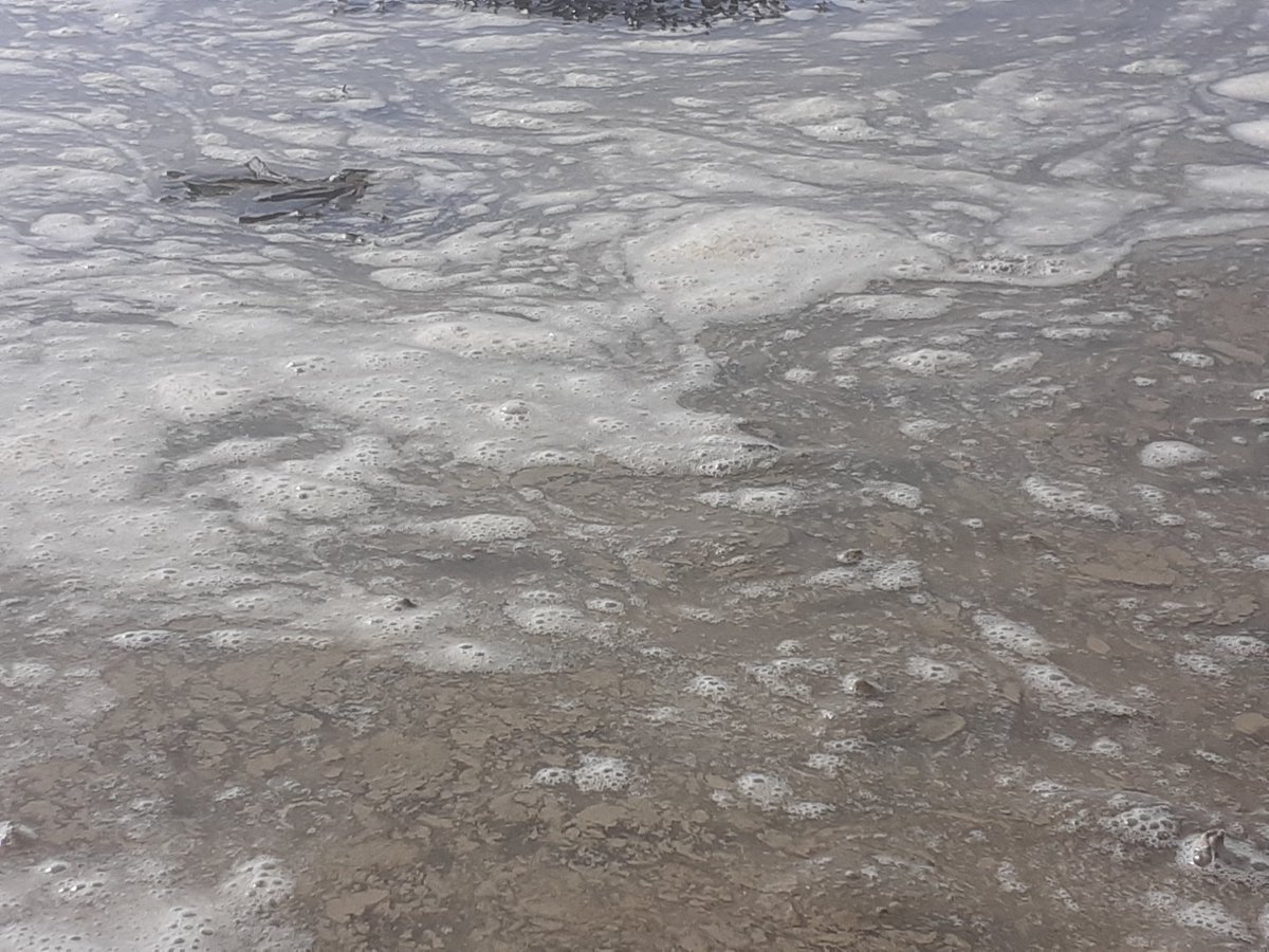 Dawn of a New Era tweet media