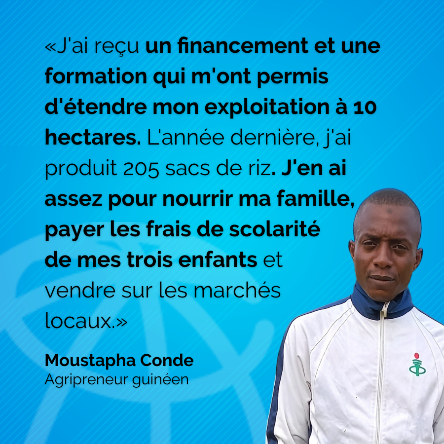 BM_Afrique's tweet photo. #Guinée | Projet de Développement Agricole Intégré #PDAIG
Moustapha Conde, agripreneur guinéen 👨🏿🌾, a développé sa ferme et son entreprise avec le soutien du projet #PDAIG, financé par la @Banquemondiale, à hauteur de 40 millions de dollars.
🔗https://t.co/tLNB4BDFCe https://t.co/4SRf3y6hXI
