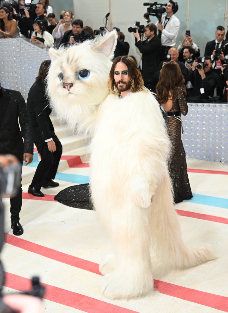 padhleyaarpinka's tweet photo. finally Talking Tom face revealed 
#MetGala https://t.co/q290dBHjtC