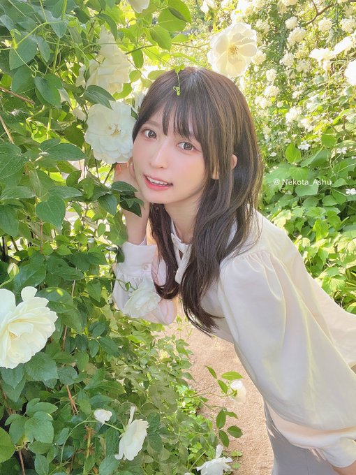 コスプレイヤー猫田あしゅのTwitter画像25
