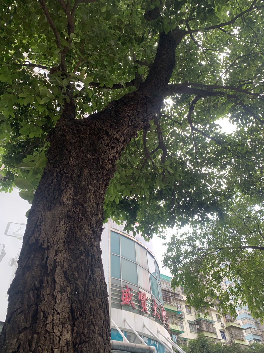 等待有缘人哈~ https://t.co/u9IvHzSmpl