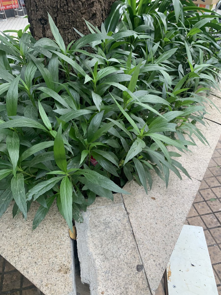 等待有缘人哈~ https://t.co/u9IvHzSmpl