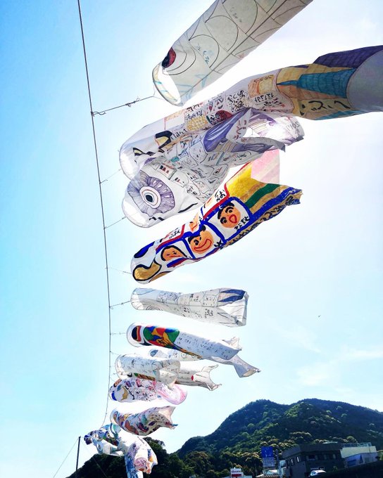 いつもこの時期、熊野の海岸沿いの道を通るのが楽しみだった  夏を目前に控えた青い海と青い空と、 浜風の中を気持ちよく泳ぐ どこまでもどこまでも続く鯉のぼり  四年ぶりで嬉しいのに、 今年が最後だそうで寂しい…  #熊野 #七里ヶ浜 #七里ヶ浜鯉のぼりの会 #鯉のぼり