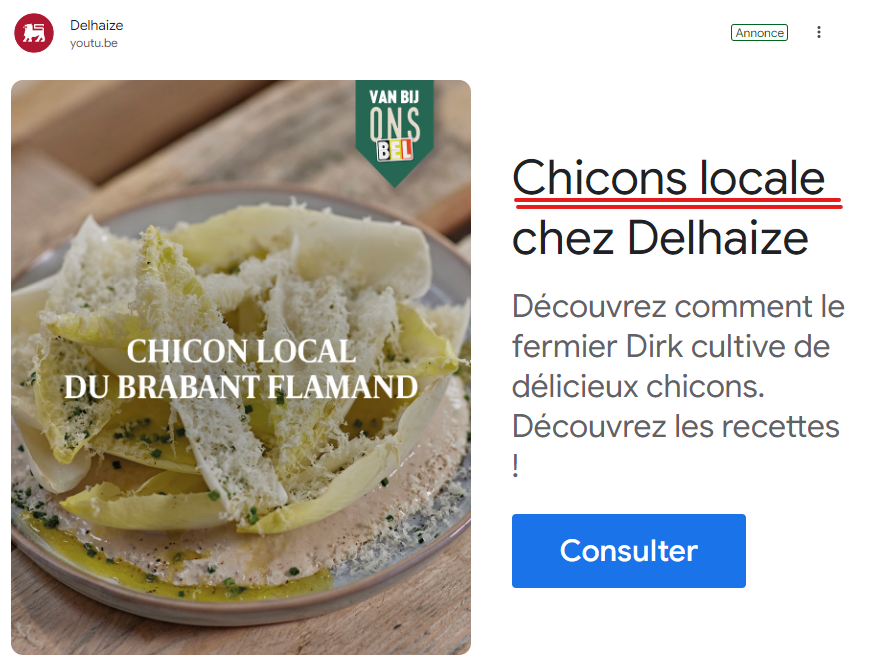 librairenumeriq's tweet photo. @DelhaizeBelgium tu pourrais te relire avant d'envoyer ta newsletter ... https://t.co/0e7eq2Qqcd