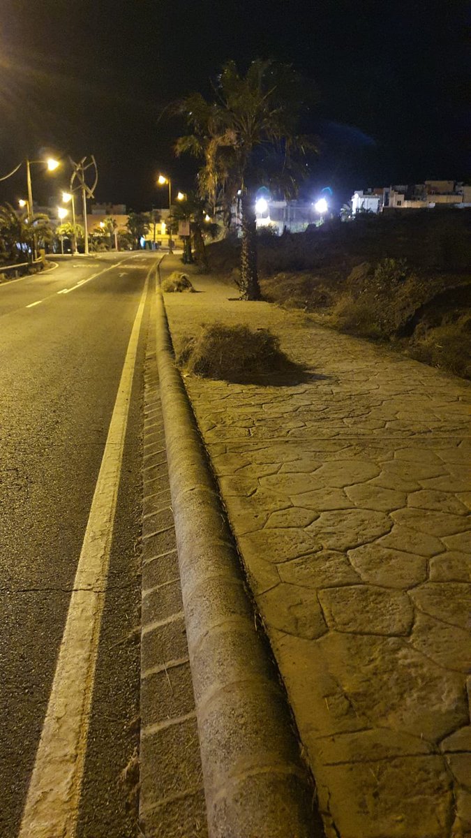 DistritoPuerto's tweet photo. Este fin de semana los compañeros de @LimpiezaLPGC realizaron tareas de desbroce en el carretera de #LasColoradas
#IsletaPuertoGuanarteme #DistritoVivo #LasPalmasDeGranCanaria @AyuntamientoLPA https://t.co/hmAaxFY8Xr