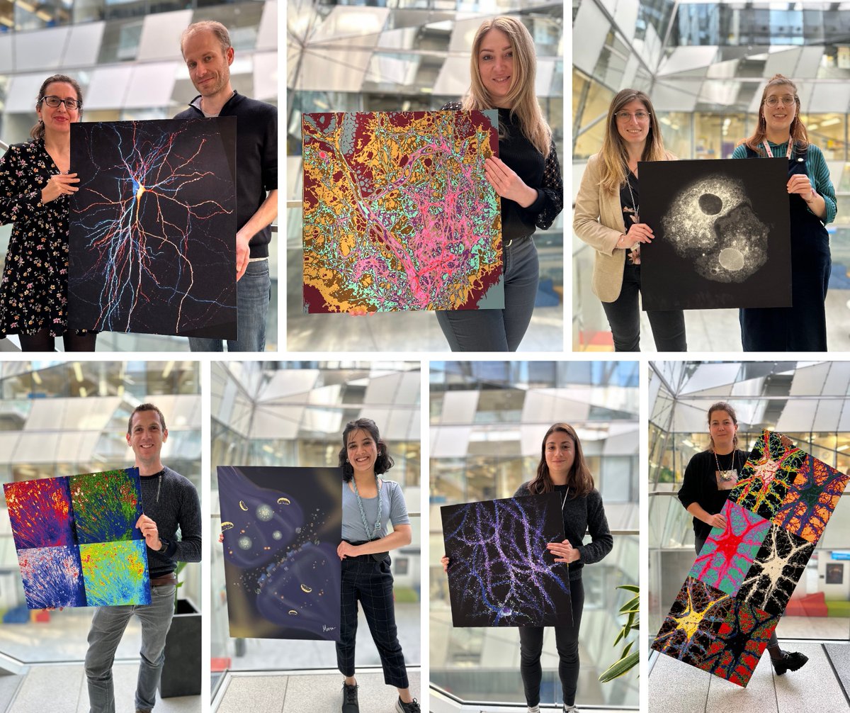 🖼#PictureOfTheWeek | Between electroporated #neurons, neurons forgotten in incubators, digital illustration of synapses or neurons in a pop art style, IINS made its creativity speak! Find the photos of our #scientists behind these most captivating visuals🥼