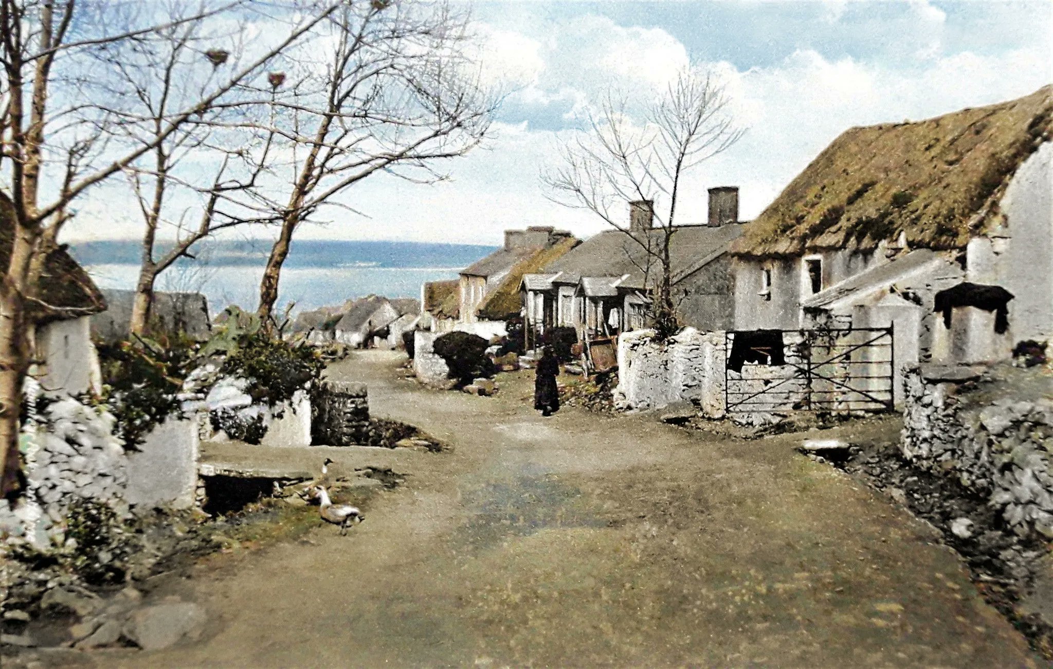 viool Een zekere Erfgenaam Timeless Colours on Twitter: "c1940, Baile na nGall, Ring A simple postcard image of a simpler time in Baile na nGall (or Ballynagaul) in An Rinn County Waterford - the famous Irish-speaking viool Een zekere Erfgenaam Timeless Colours on Twitter: "c1940, Baile na nGall, Ring A simple postcard image of a simpler time in Baile na nGall (or Ballynagaul) in An Rinn County Waterford - the famous Irish-speaking