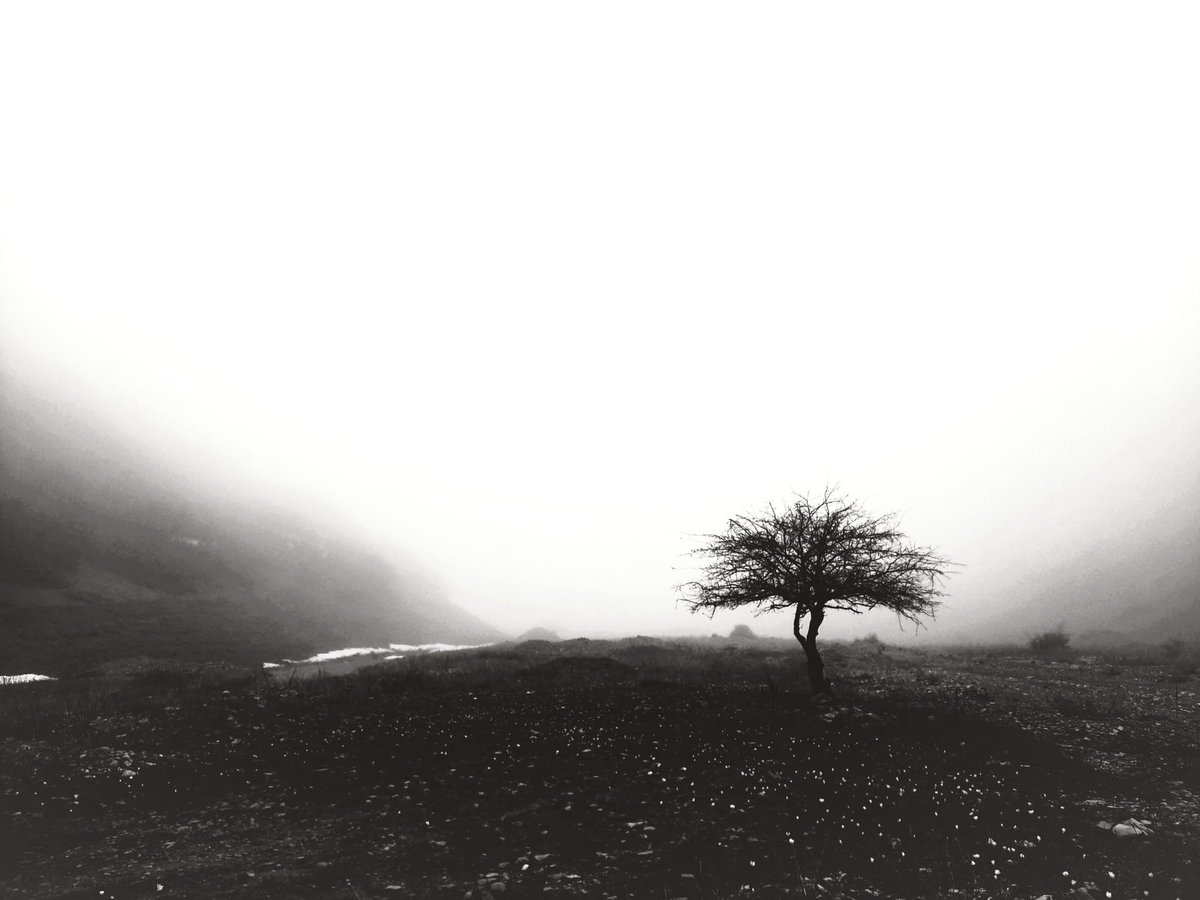 Saeed_Abedi1999's tweet photo. Hi my fam🤍

▫️Mystery▫️
" Once again, the young tree chases away the cold and silent winter.
He learns something every time
He learns that movement makes the hidden visible " https://t.co/p4PKj7gXF3