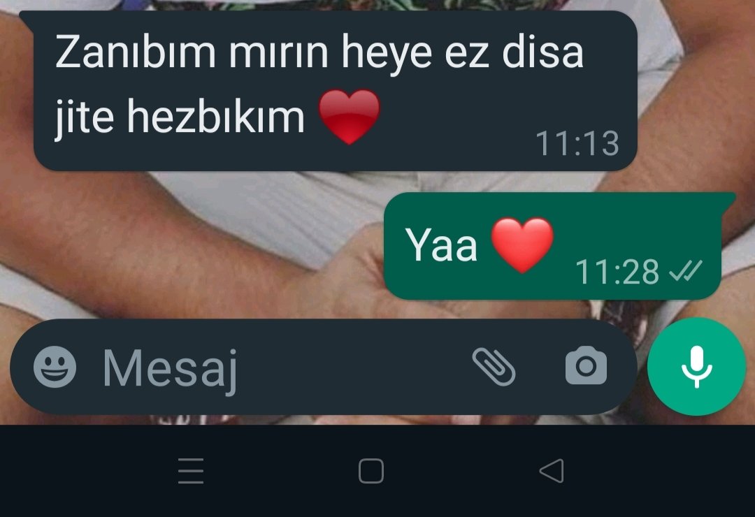Sevgilim Kürt'tür benim manitin haller ❤️😝